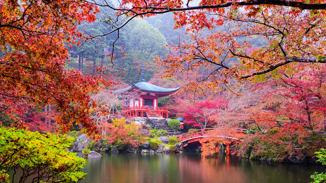 Viaje a Japón 2024